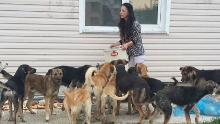 Almost Every Day After Work, This Woman Drives Up The Hills Of Sapanca In Turkey To Take Care Of Neglected Dogs There Almost Every Day After Work, This Woman Drives Up The Hills Of Sapanca In Turkey To Take Care Of Neglected Dogs There