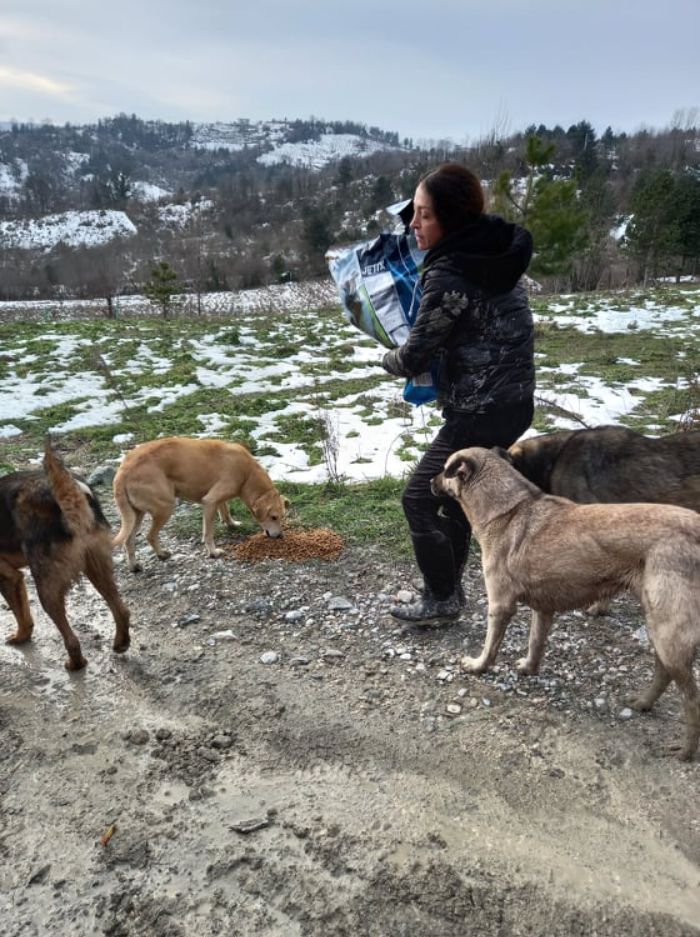 Almost Every Day After Work, This Woman Drives Up The Hills Of Sapanca In Turkey To Take Care Of Neglected Dogs There Almost Every Day After Work, This Woman Drives Up The Hills Of Sapanca In Turkey To Take Care Of Neglected Dogs There