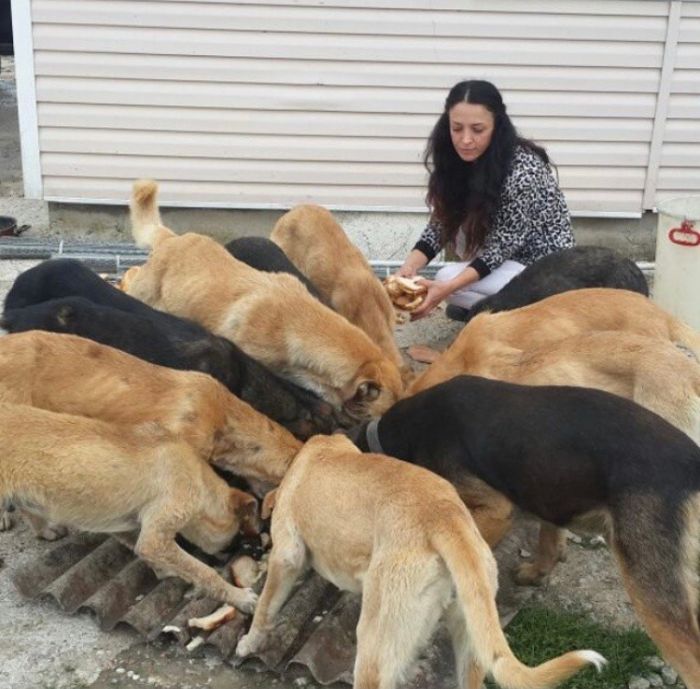 Almost Every Day After Work, This Woman Drives Up The Hills Of Sapanca In Turkey To Take Care Of Neglected Dogs There