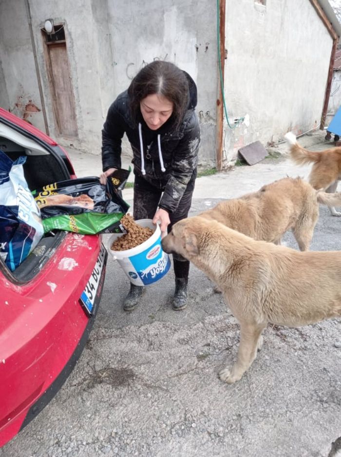 Almost Every Day After Work, This Woman Drives Up The Hills Of Sapanca In Turkey To Take Care Of Neglected Dogs There Almost Every Day After Work, This Woman Drives Up The Hills Of Sapanca In Turkey To Take Care Of Neglected Dogs There
