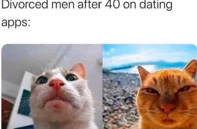 Here Are Some Relatable Cat Memes