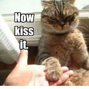 jenniferkludy avatar