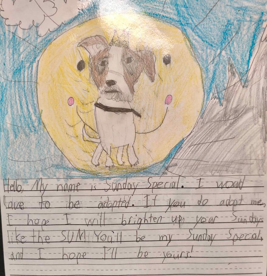 Second Graders Wrote Adorable Letters On Behalf Of Shelter Animals To Get Them Adopted, And It Worked