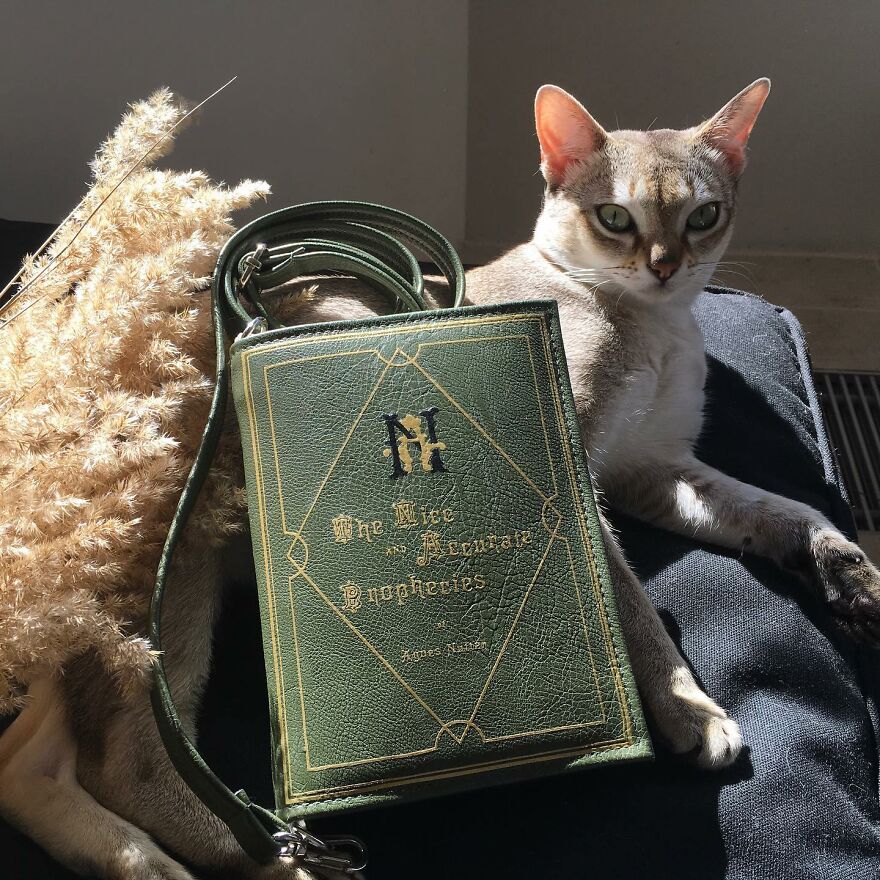 Someone Is Making Pop Culture Bags And It Might Amuse You