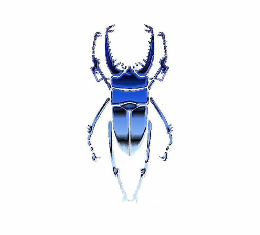 Mirrored Stag Beetle. Created In D-Paint V On An Amiga 1200.