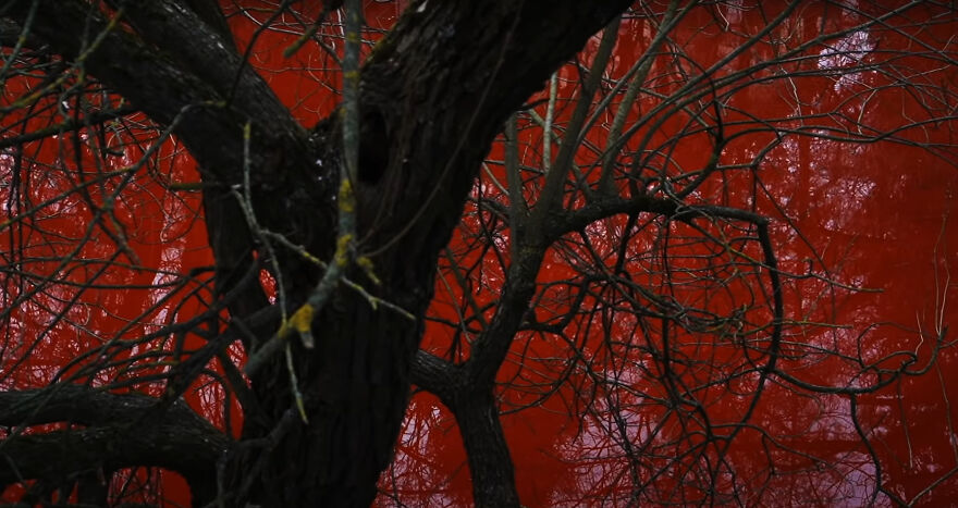 "Swimming Through": We Dyed The Pond In Front Of The Russian Embassy In Lithuania So That It Looks Like Blood