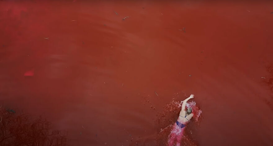"Swimming Through": We Dyed The Pond In Front Of The Russian Embassy In Lithuania So That It Looks Like Blood "Swimming Through": We Dyed The Pond In Front Of The Russian Embassy In Lithuania So That It Looks Like Blood