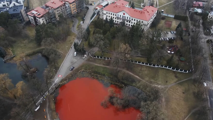 "Swimming Through": We Dyed The Pond In Front Of The Russian Embassy In Lithuania So That It Looks Like Blood