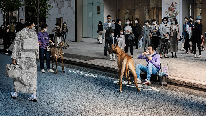 10 Unique Photos From The Daily Life In Japan