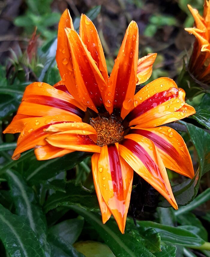 Unexpected Winter Beauty