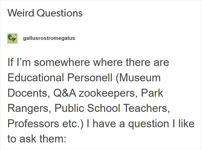 Person Goes Around Asking Professionals What Weird Questions They Have Been Asked, Delivers A List Of The 12 Best Ones Person Goes Around Asking Professionals What Weird Questions They Have Been Asked, Delivers A List Of The 12 Best Ones