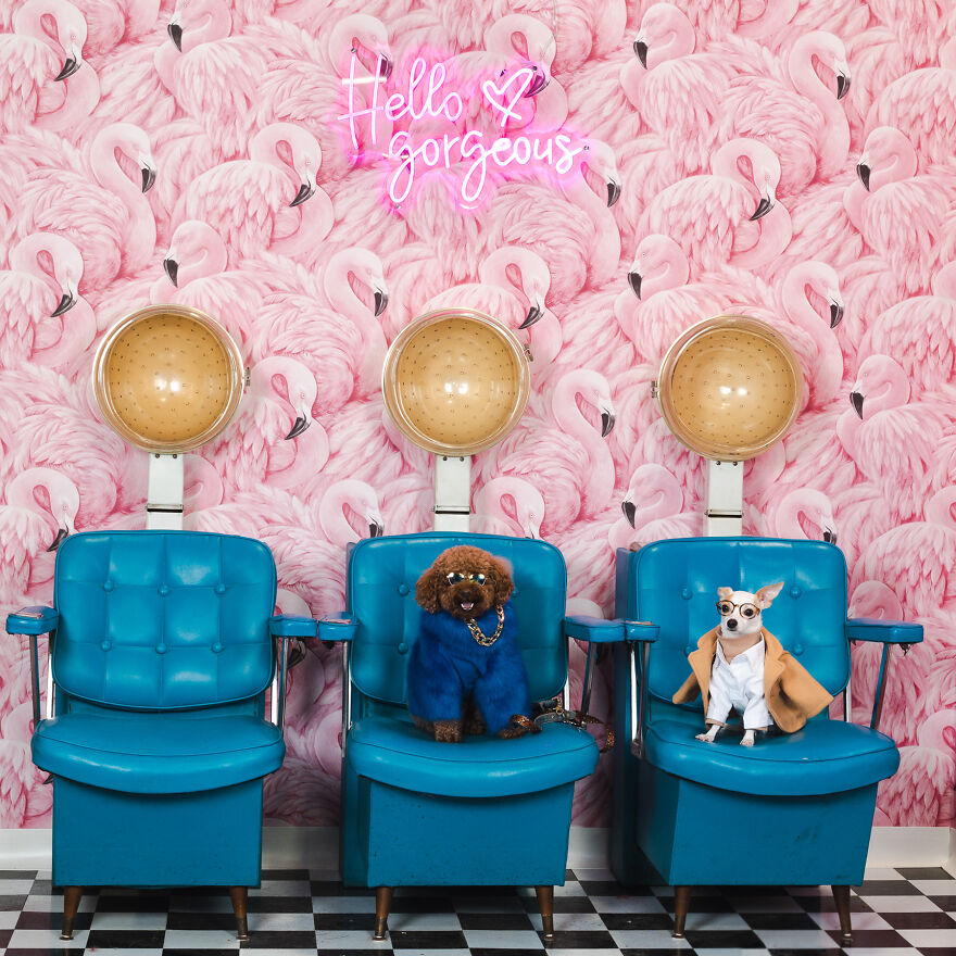 Naturally The Editors Of, We Presume, Dogue Magazine Stopped By Chic