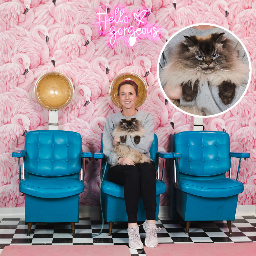 Merlin The Mad Ragdoll, Another Tiktok Celeb, Was Clearly Thrilled For The Photo Opportunity. We Think He’s Pretty Cute Anyway