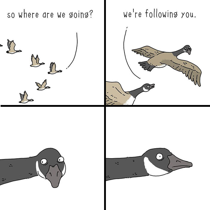 Jimmy Craig Is Back With His ‘They Can Talk’ Animal Comics, And Here Are 30 Newest Ones