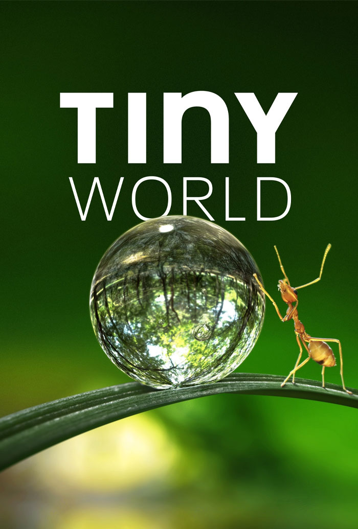 Tiny World