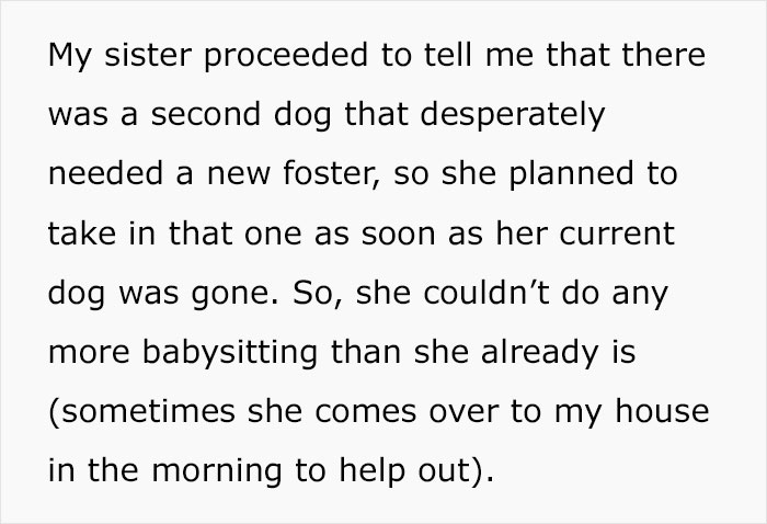 Woman Wants Childfree Sister To Babysit Her Kids, Asks Her To Stop Fostering Dogs