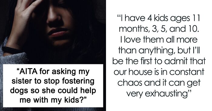 Woman Wants Childfree Sister To Babysit Her Kids, Asks Her To Stop Fostering Dogs