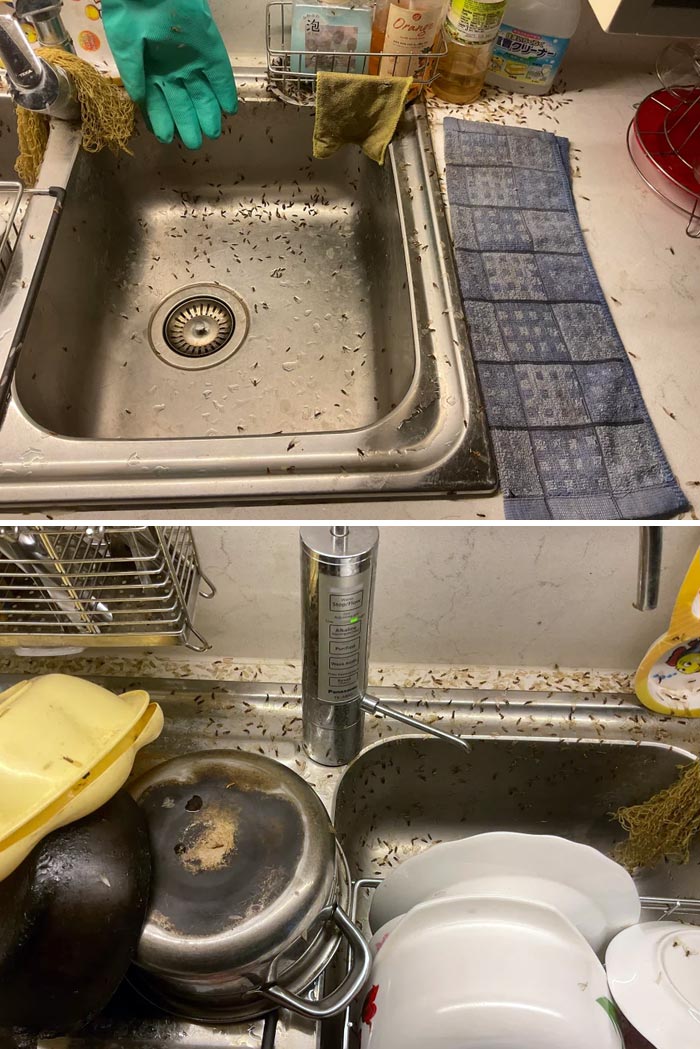 A Family Member Forgot To Turn Off The Sink Light Overnight
