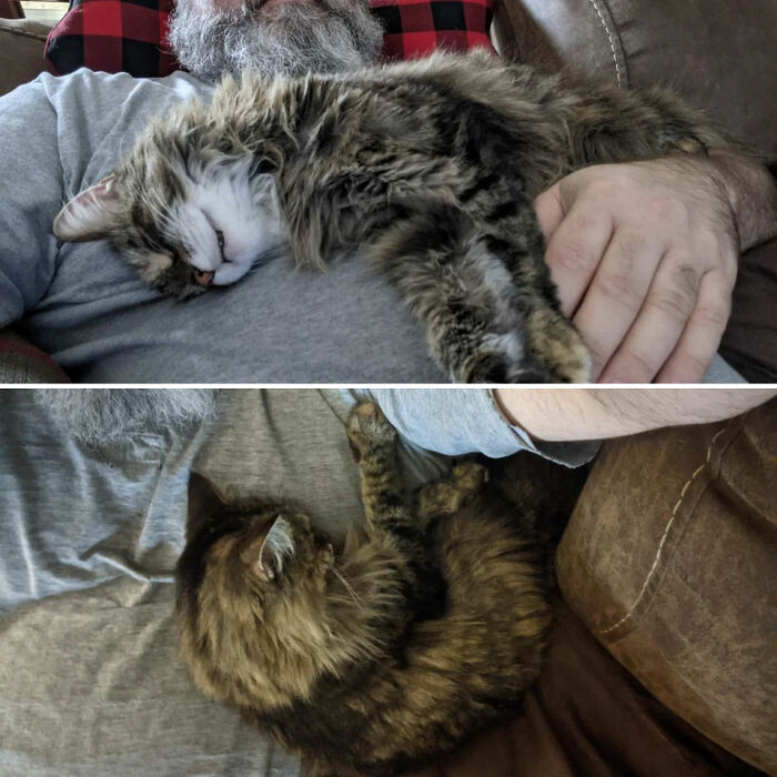 When We Found Mocha At The Shelter, She Flopped Over In My Arms And Stayed Like That The Whole Time