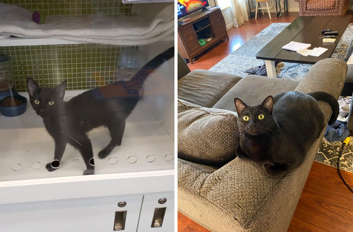Nixie At Six Months vs. Almost 2! From String Bean To Thanksgiving Turkey!