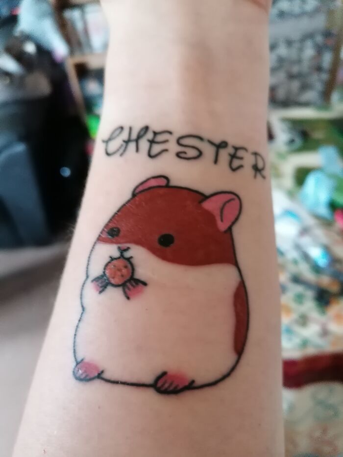 Of My Hamster That Is No Longer With Us. I've Got Quite A Few But This Is My Favourite.