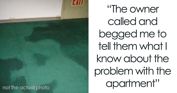 “Go Ahead, Call The City Inspector”: Tenant Finally Puts Landlord In His Place After Calling His Bluff