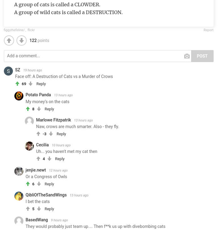 Shoutout To [basedwang] Lmao!