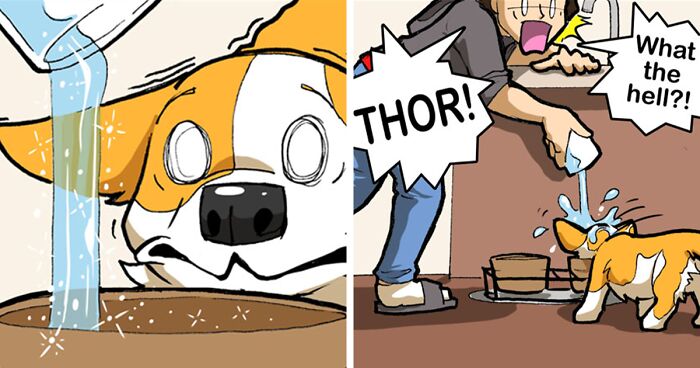 21 Comics I Made To Illustrate The Funny Reality Of Being A Dog Owner (New Pics)
