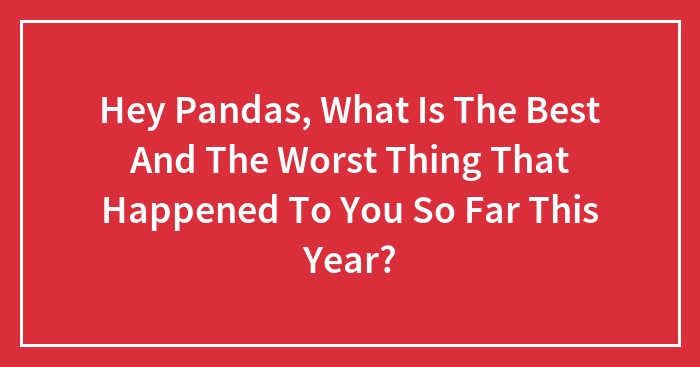 Hey Pandas, What Is The Best And The Worst Thing That Happened To You So Far This Year? (Closed)