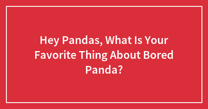 Hey Pandas, What Is Your Favorite Thing About Bored Panda? (Closed)