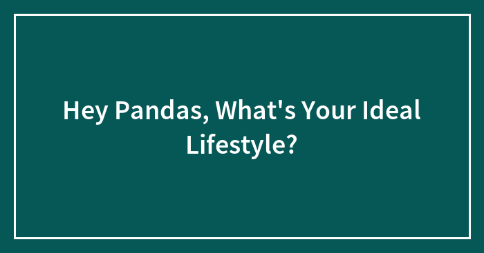 Hey Pandas, What’s Your Ideal Lifestyle? (Closed)