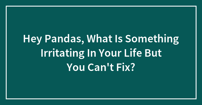 Hey Pandas, What Is Something Irritating In Your Life But You Can’t Fix? (Closed)