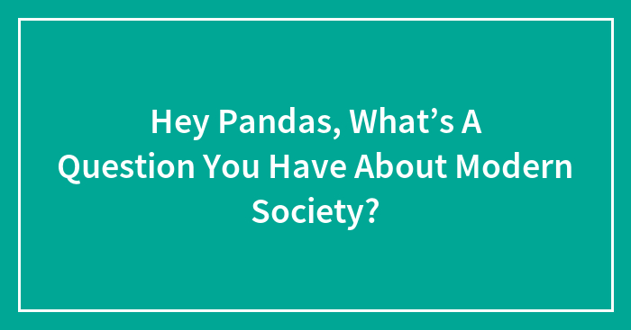 Hey Pandas, What’s A Question You Have About Modern Society? (Closed)