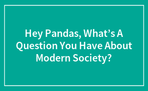 Hey Pandas, What’s A Question You Have About Modern Society?