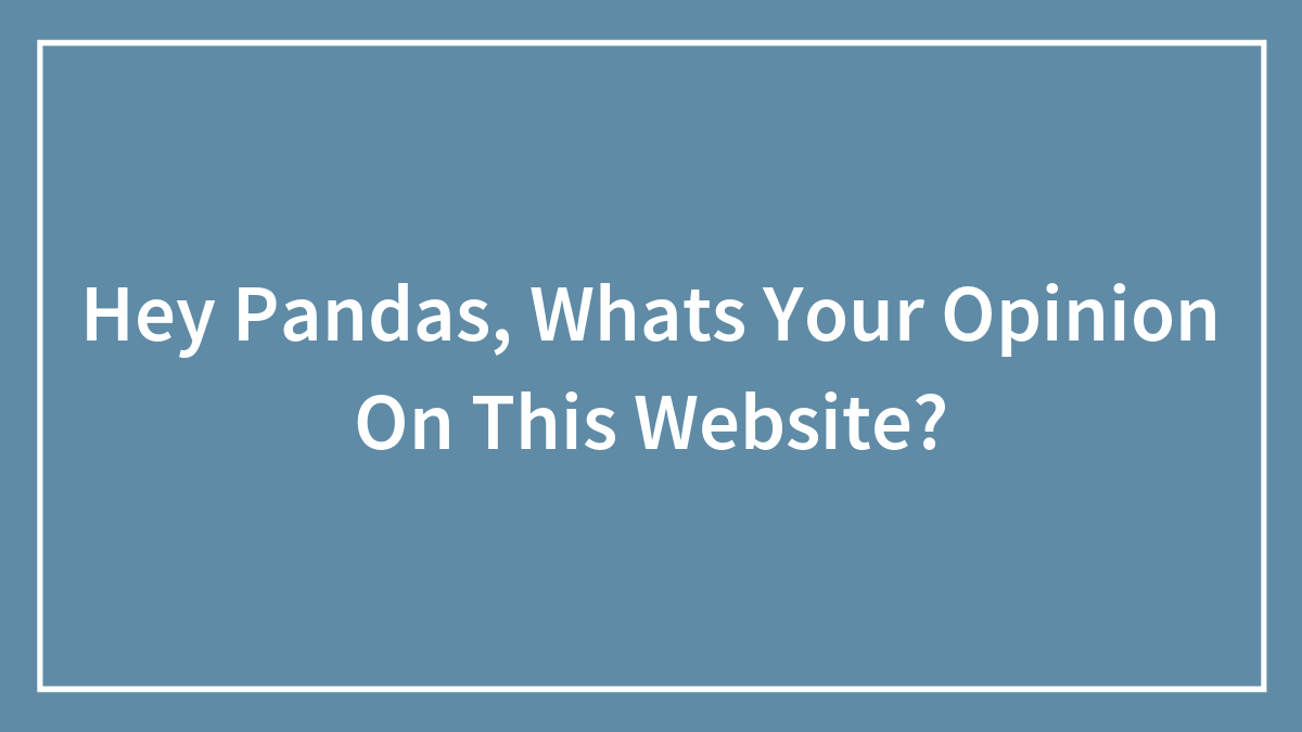 Hey Pandas, Whats Your Opinion On This Website? (Closed)