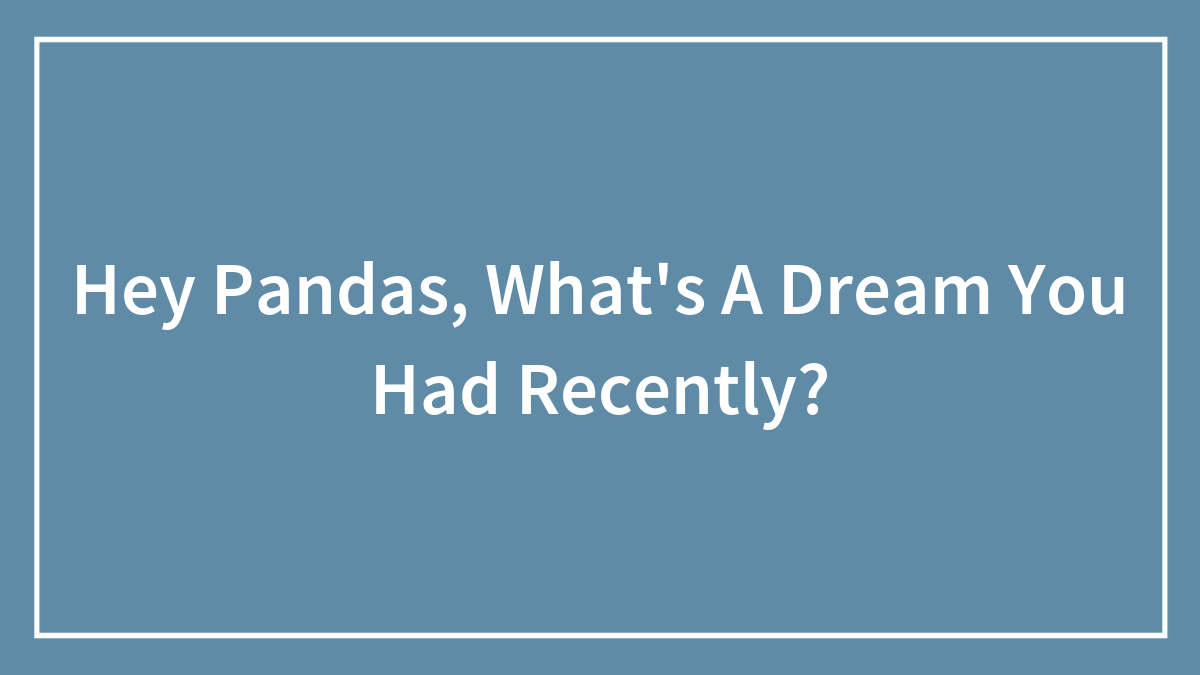 Hey Pandas, What’s A Dream You Had Recently?
