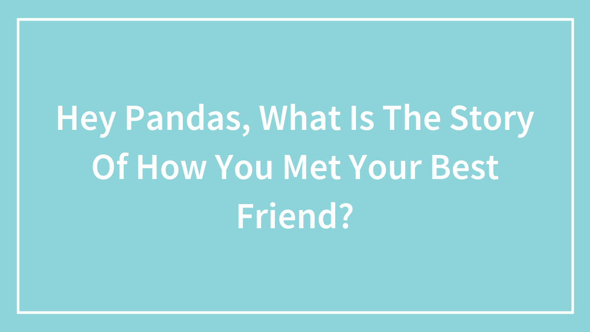 Hey Pandas, What Is The Story Of How You Met Your Best Friend?