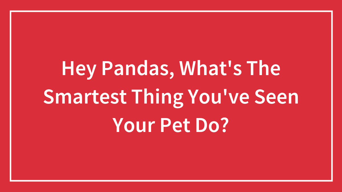 Hey Pandas, What’s The Smartest Thing You’ve Seen Your Pet Do? (Closed)
