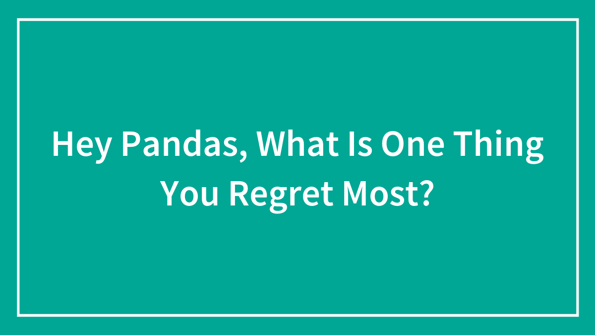 Hey Pandas, What Is One Thing You Regret Most?