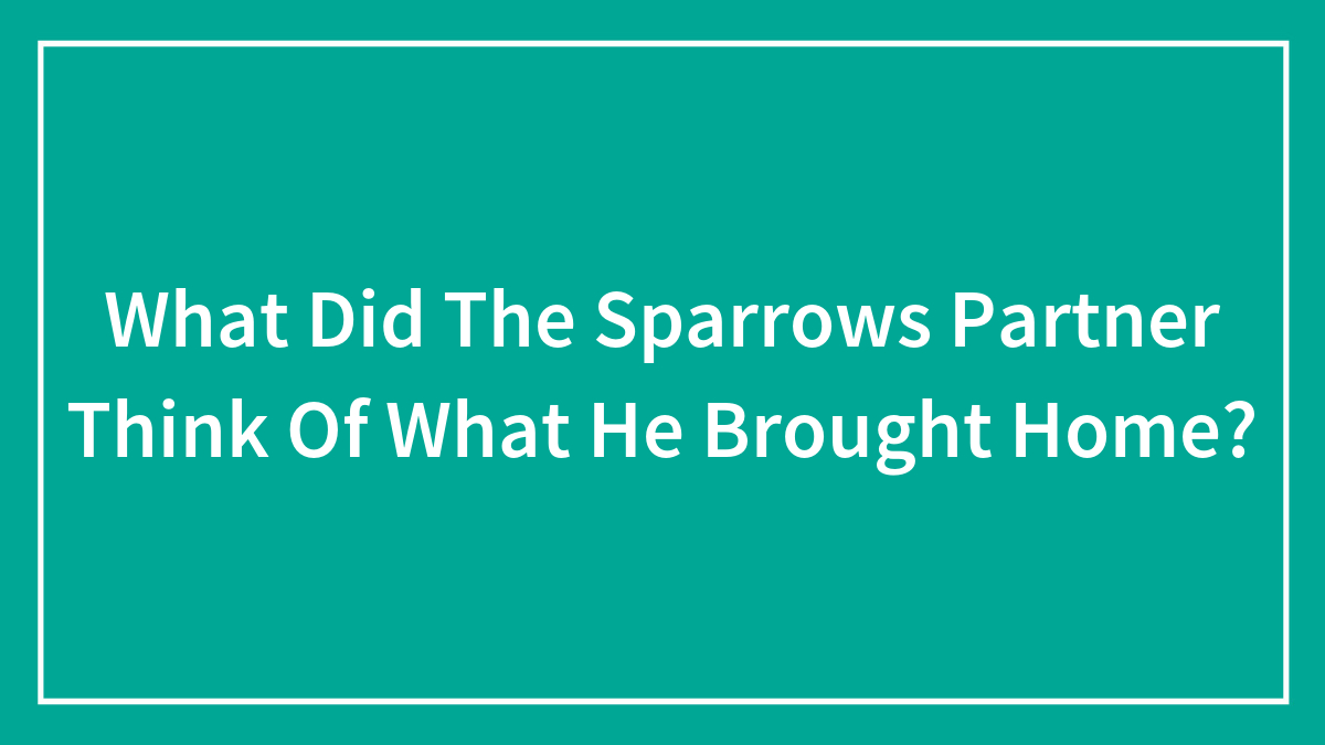 What Did The Sparrows Partner Think Of What He Brought Home?