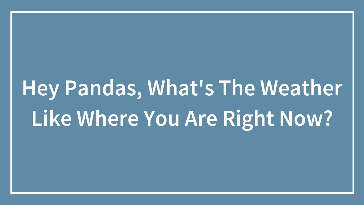 Hey Pandas, What’s The Weather Like Where You Are Right Now? (Closed)