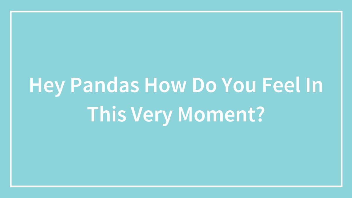 Hey Pandas How Do You Feel In This Very Moment?