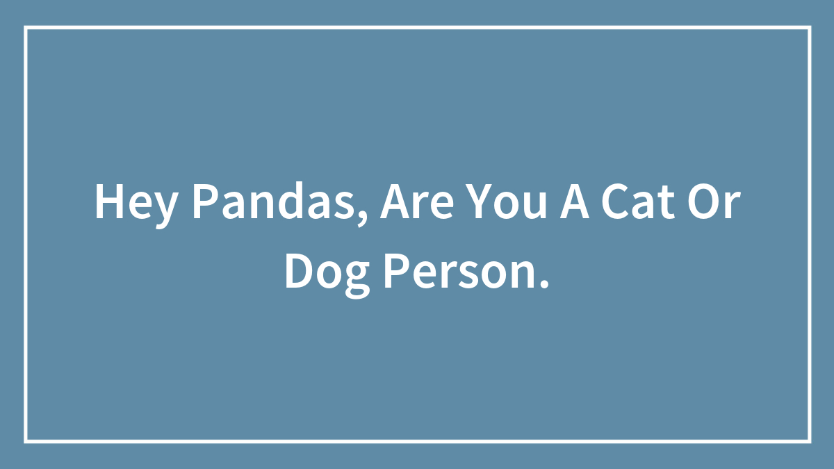 Hey Pandas, Are You A Cat Or Dog Person.