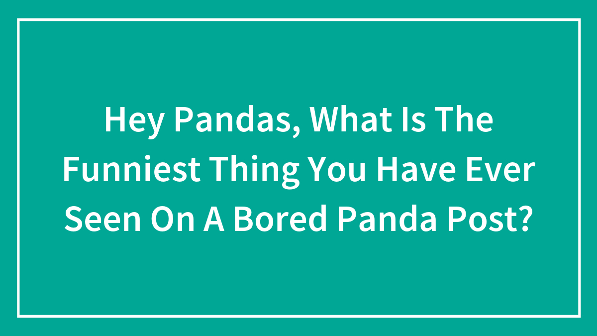Hey Pandas, What Is The Funniest Thing You Have Ever Seen On A Bored Panda Post?