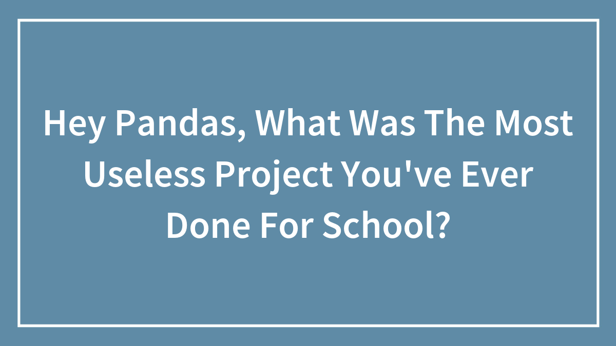 Hey Pandas, What Was The Most Useless Project You’ve Ever Done For School? (Closed)