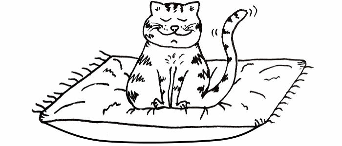 Take A Little Pause With My 5 Comics And Shorties