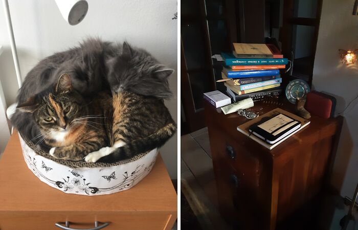 Hey Pandas, Post A Picture Of Things You Currently Have On Your Bedside Table (Closed)