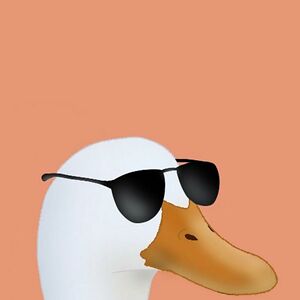Agent Duck