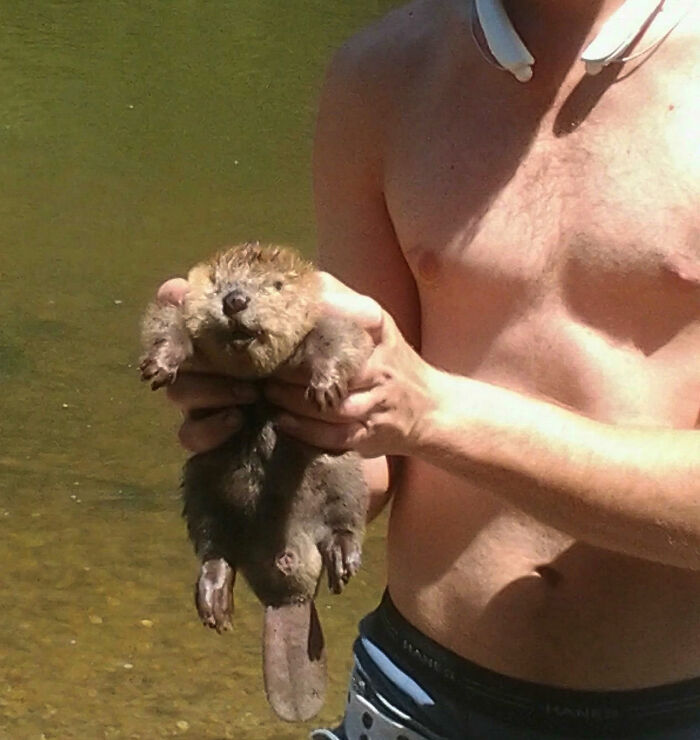 I Actually Got To Hold The Baby Beaver