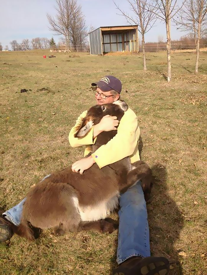 Just My Dad... Cuddling Our Donkey